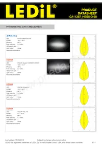 CA11267_HEIDI-O-90 Datasheet Page 6