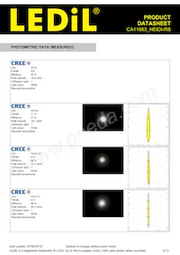 CA11663_HEIDI-RS Datasheet Page 4