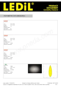 CA12379_TINA2-O Datasheet Pagina 7