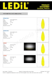 CA12379_TINA2-O Datasheet Page 9