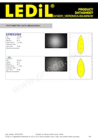 CA15231_VERONICA-SQ-MINI-W Datasheet Page 5