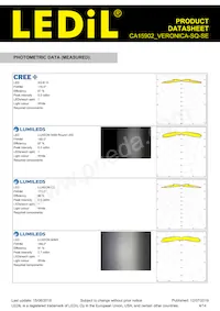 CA15902_VERONICA-SQ-SE Datasheet Page 4