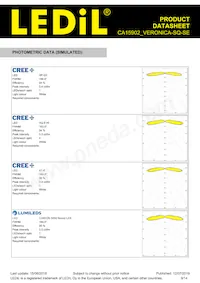 CA15902_VERONICA-SQ-SE Datasheet Page 9