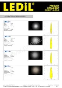 CA16127_OLGA-S Datasheet Page 3