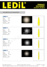 CA16127_OLGA-S Datasheet Page 4