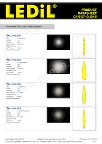 CA16127_OLGA-S Datasheet Page 7