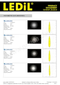 CA16127_OLGA-S Datasheet Page 8