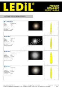 CA16127_OLGA-S Datasheet Page 9