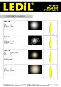 CA16127_OLGA-S Datasheet Page 10