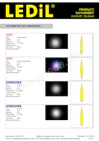 CA16127_OLGA-S Datasheet Page 13