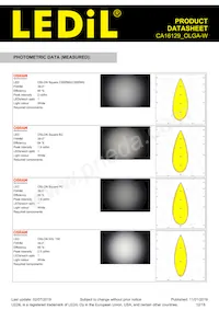 CA16129_OLGA-W Datasheet Page 12