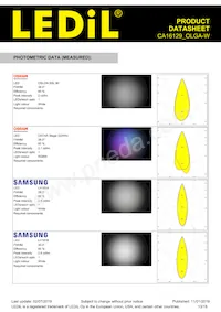 CA16129_OLGA-W Datasheet Page 13