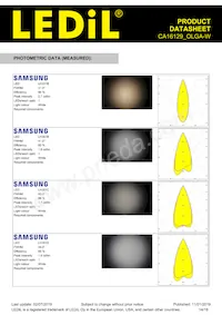 CA16129_OLGA-W Datasheet Page 14