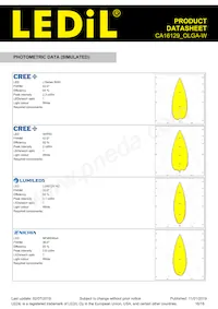 CA16129_OLGA-W Datasheet Page 16