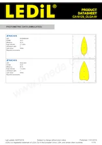 CA16129_OLGA-W Datasheet Page 17