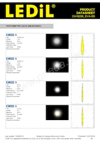 CA16256_EVA-SS Datasheet Pagina 3