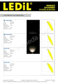 CA16308_OLGA-WAS Datasheet Page 7