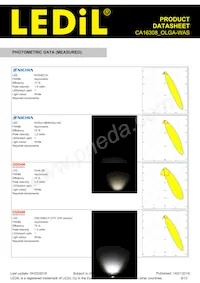 CA16308_OLGA-WAS Datasheet Page 8