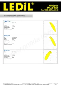 CA16308_OLGA-WAS Datasheet Page 12