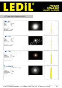 CA16672_OLGA-RS Datenblatt Seite 5