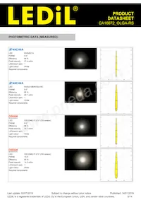 CA16672_OLGA-RS Datasheet Page 8