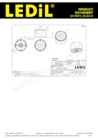 CA16674_OLGA-O Datasheet Pagina 2