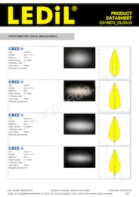 CA16674_OLGA-O Datasheet Page 3