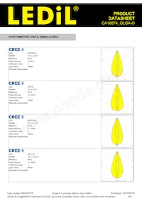 CA16674_OLGA-O Datasheet Page 6