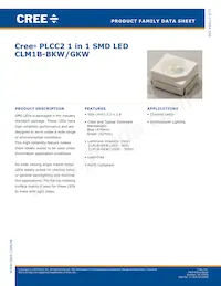 CLM1B-BKW-CTBUA453 Cover