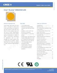 CMA2550-0000-000N0Z0A40H Datasheet Cover
