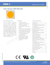 CMT1925-0000-00PN0U0A40G Datasheet Cover