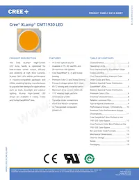 CMT1930-0000-00PN0U0A40G數據表 封面