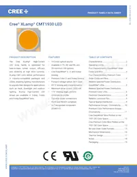 CMT1930-0000-00PN0U0A40G Datasheet Cover