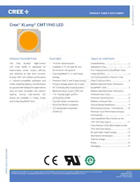 CMT1945-0000-00PN0U0A40G Datasheet Cover