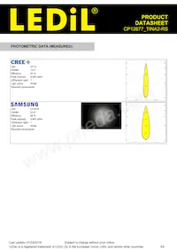 CP12677_TINA2-RS Datasheet Page 3