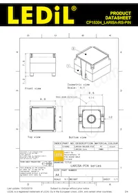 CP15304_LARISA-RS-PIN Datasheet Page 2
