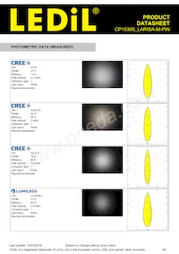 CP15305_LARISA-M-PIN Datasheet Page 3