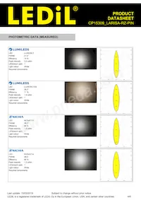 CP15309_LARISA-RZ-PIN Datasheet Page 4