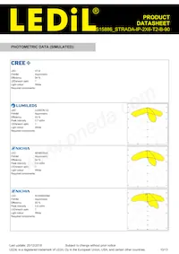 CS15886_STRADA-IP-2X6-T2-B-90 Datasheet Page 10