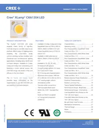 CXA1304-0000-000C00B430G數據表 封面