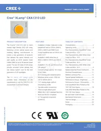 CXA1310-0000-000N0YG435G Datasheet Cover