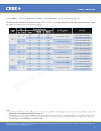 CXA1310-0000-000N0YG435G Datasheet Page 9