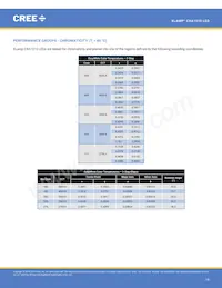 CXA1510-0000-000N0YG235F Datasheet Page 19