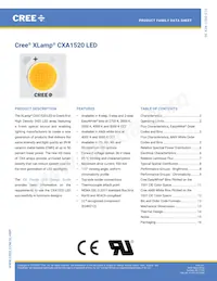 CXA1520-0000-000N0YM235G數據表 封面