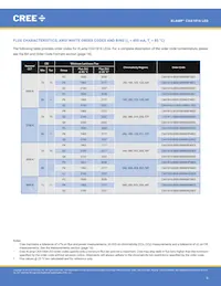 CXA1816-0000-000N0YM430F Datasheet Page 6
