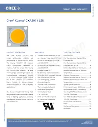 CXA2011-0000-000P0UG030H數據表 封面