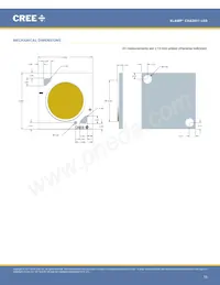 CXA2011-0000-000P0UG030H 데이터 시트 페이지 13