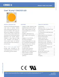 CXA2520-0000-000N00R235G Datenblatt Cover