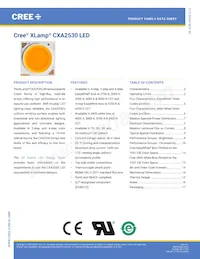 CXA2530-0000-000N00U440F Datasheet Cover