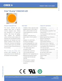 CXA2540-0000-000N00V40E3 Datasheet Cover